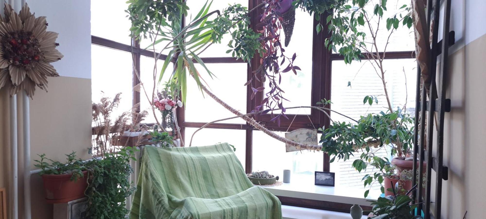 Green Land House Белград Екстериор снимка